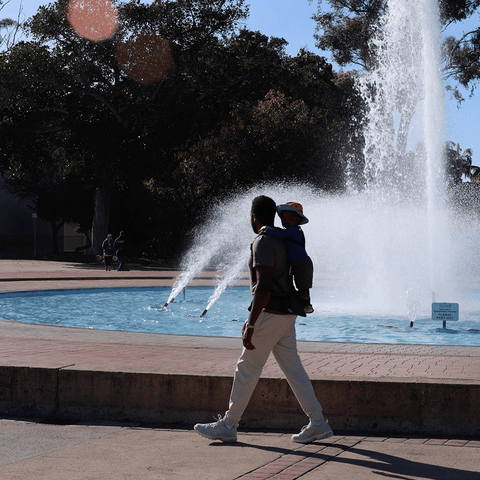Dad carrying kid with toddler carrier